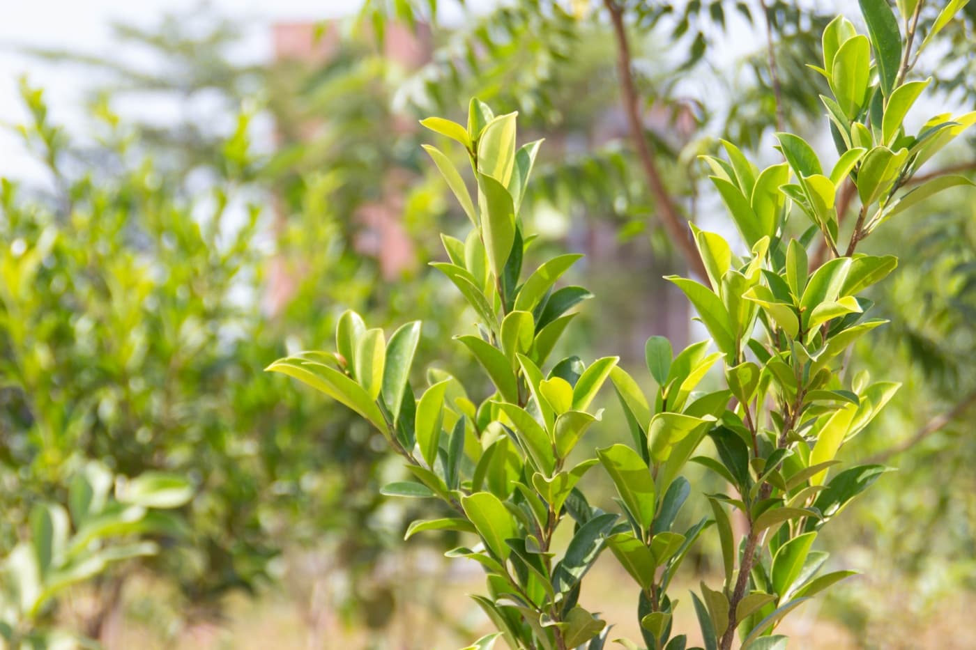 Rishihood University Sonepat hostel photo 117